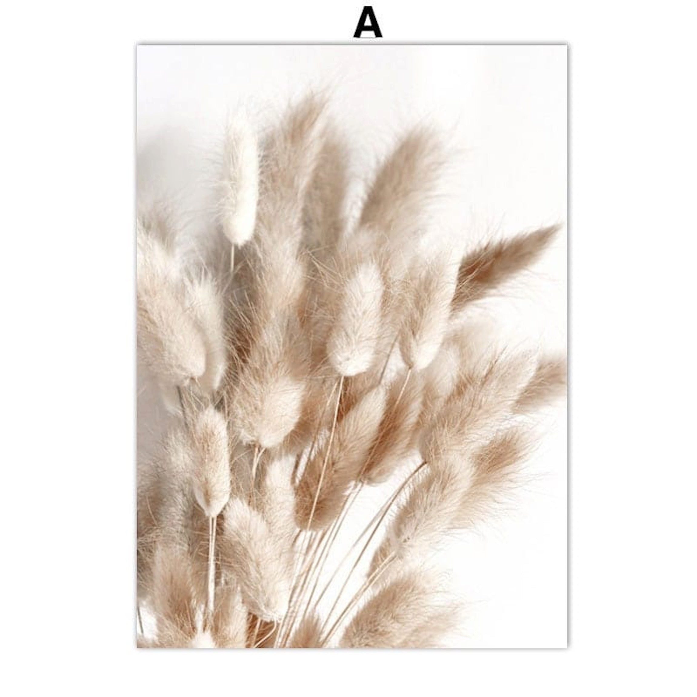 JUSTGOODMOOD Poster Pampasgras Beige Blätter Wandbilder Wohnzimmer Schlafzimmer Deko Print, I (1 St) – Bild 2 von 5