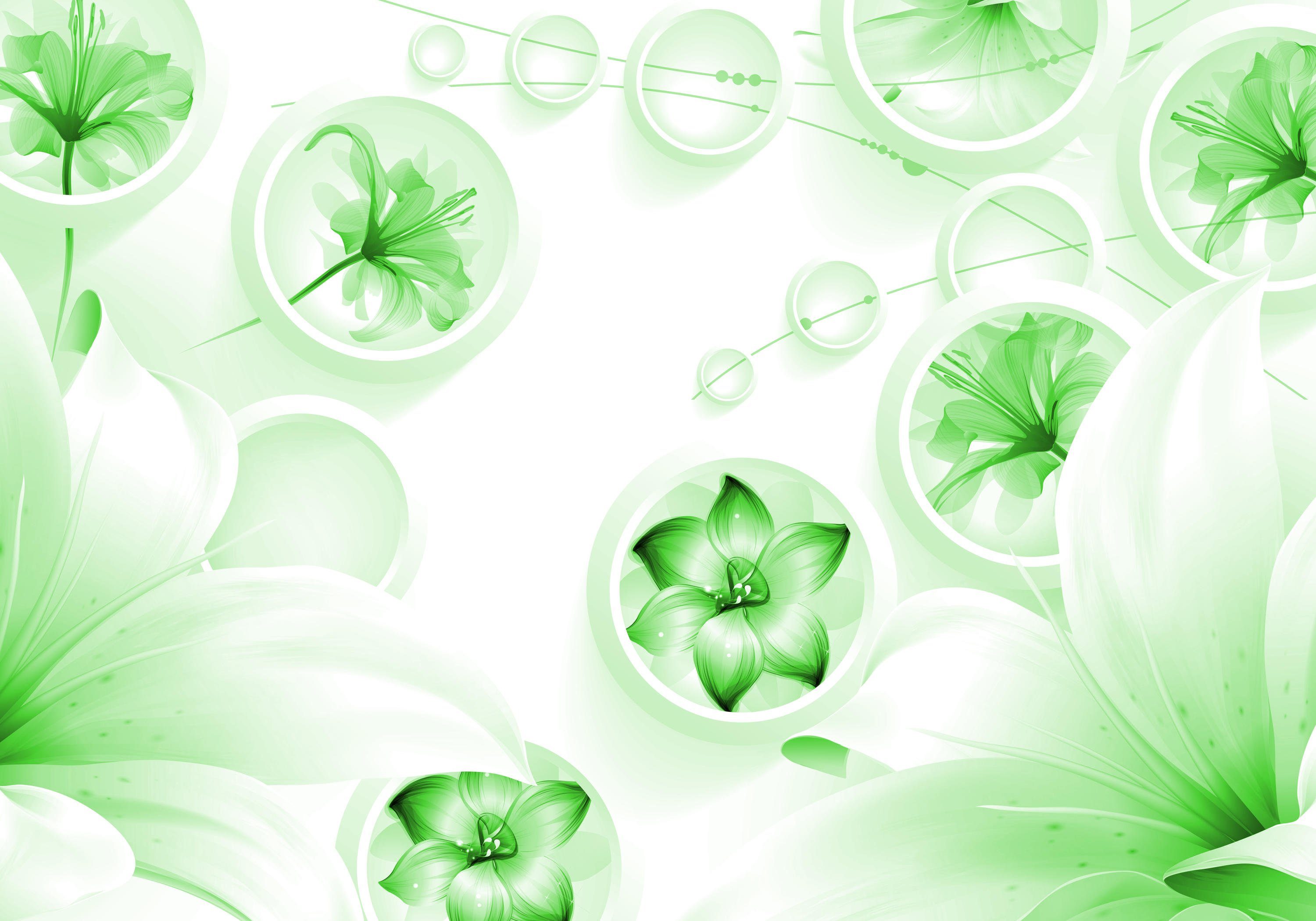 wandmotiv24 Fototapete grün 3D Kreise Abstrakt Ornamente Blumen, glatt, Wandtapete, Motivtapete, matt, Vliestapete