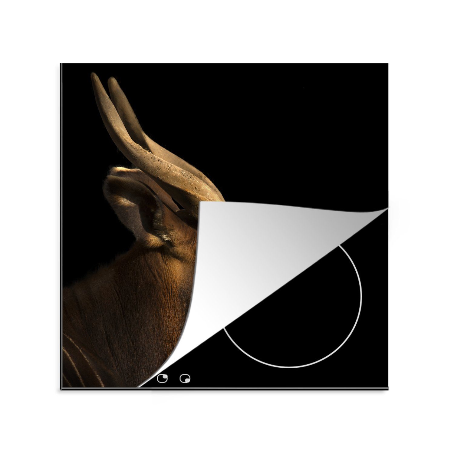 MuchoWow Herdblende-/Abdeckplatte Bongo-Antilope auf schwarzem Hintergrund, Vinyl, (1 tlg), 78x78 cm, Ceranfeldabdeckung, Arbeitsplatte für küche