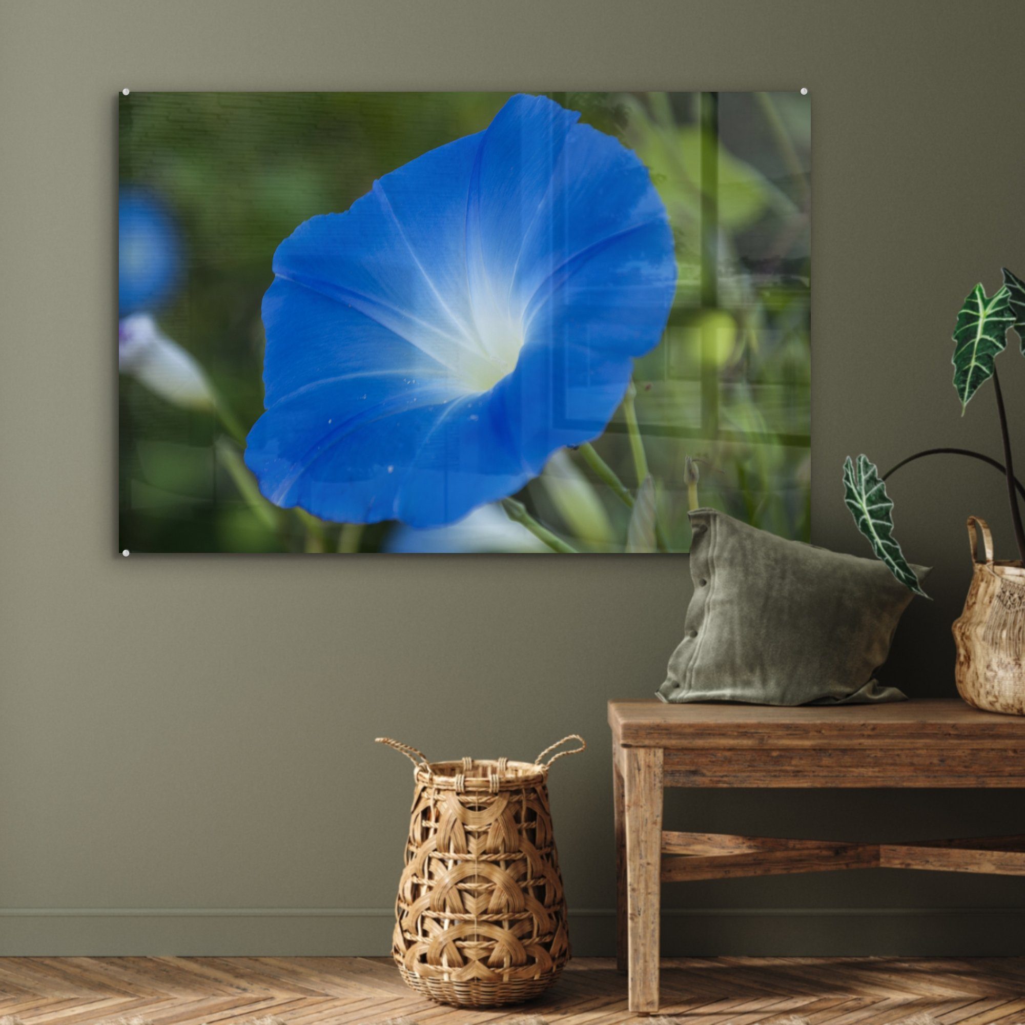 MuchoWow Acrylglasbild Blaue (1 Hintergrund, vor St), & Orchidee verblasstem Schlafzimmer Wohnzimmer Acrylglasbilder