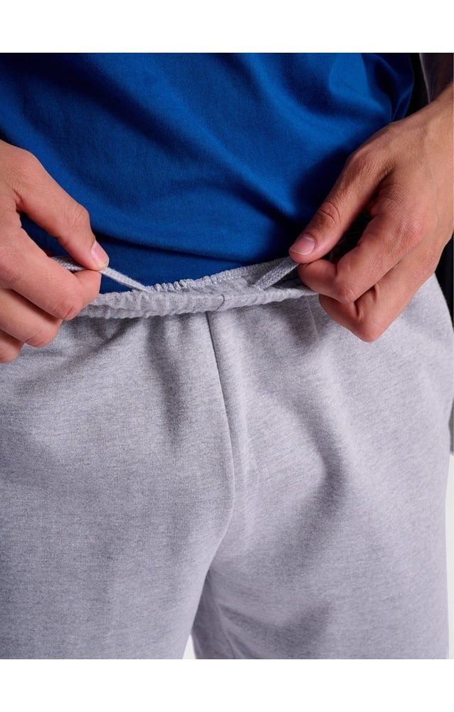 hummel Sweatshorts Freizeithose hmlGO 2.0 (Bio-Baumwolle) kurz grau Herren