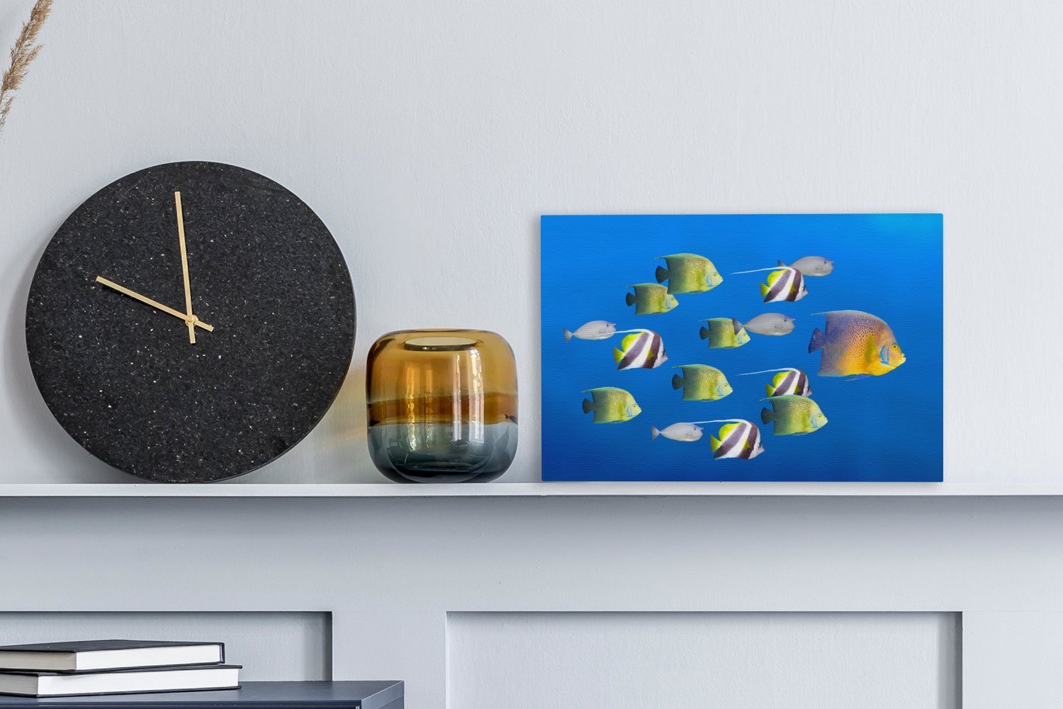 OneMillionCanvasses® Leinwandbild Fische Aufhängefertig, Wanddeko, Wandbild Tropisch St), cm - 30x20 - (1 Leinwandbilder, Gruppe