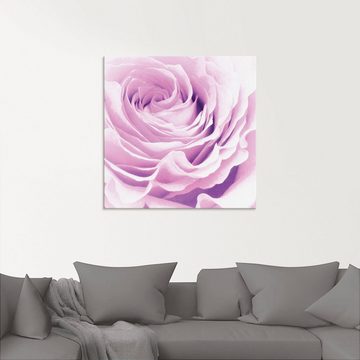 Artland Glasbild Pastell Rose, Blumen (1 St), in verschiedenen Größen