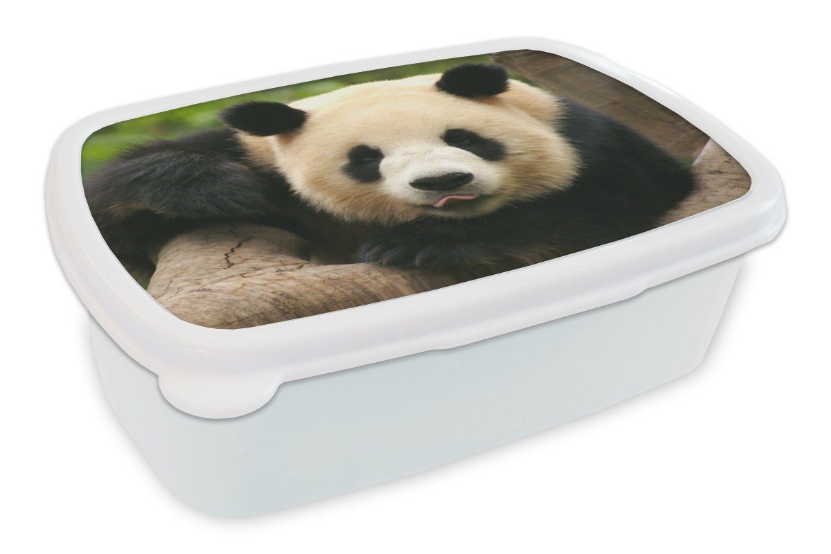 MuchoWow Lunchbox Tiere - Panda Erwachsene, für weiß Bäume, (2-tlg), und Brotbox für Jungs Mädchen und Brotdose, Kunststoff, - Kinder