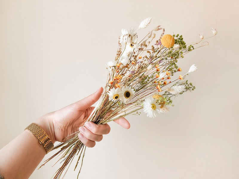 Trockenblume Tauschpaket FlowerBar “SOMMERWIESE”, FlowerBar by Trockenblumen-Manufaktur