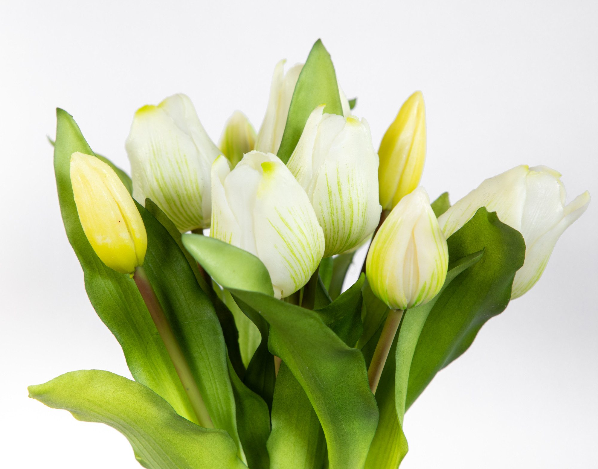 Kunstblume Tulpenbund Nature Real Touch 32x26cm mit 10 Blüten LM künstliche Tulpe, Seidenblumen Roß, Höhe 32 cm, Weiß – Bild 4 von 5
