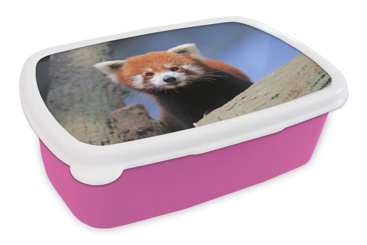 MuchoWow Lunchbox Roter für - Kunststoff - Erwachsene, rosa Kinder, Mädchen, (2-tlg), Baum, Panda Snackbox, Brotbox Kunststoff, Orange Brotdose