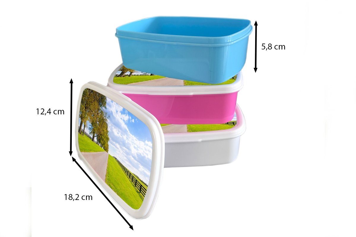 MuchoWow Lunchbox Wolken - Bäume Straße, Erwachsene, Brotbox Mädchen, Brotdose Kunststoff, Kinder, rosa Kunststoff (2-tlg), - für Snackbox