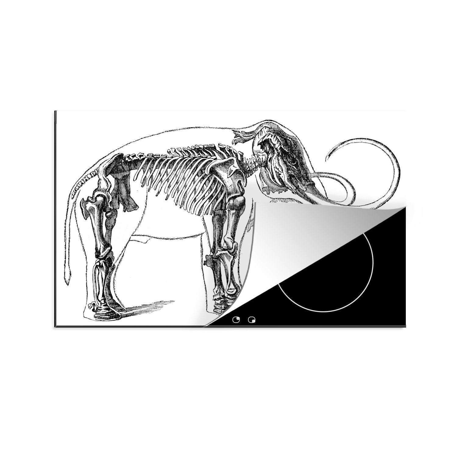 Haut, Illustration Schutz der Mammutskeletts (1 Ceranfeldabdeckung Herdblende-/Abdeckplatte eines küche, tlg), Induktionskochfeld für 81x52 Vinyl, die cm, MuchoWow in