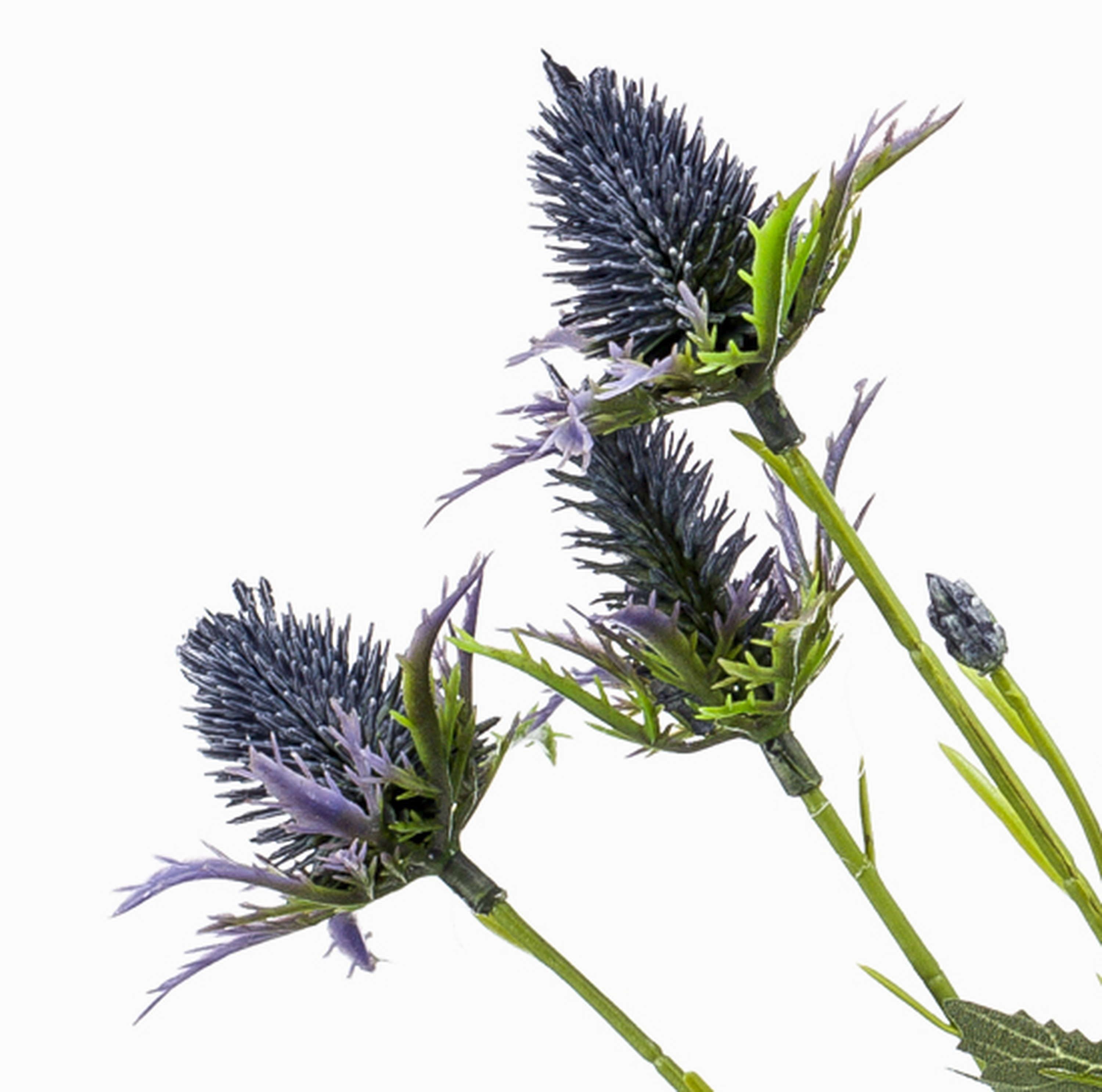 Kunstzweig Edeldistel CUACOS, blau, 70cm Distel (Mannstreu), artplants, Höhe 70.0 cm – Bild 2 von 4