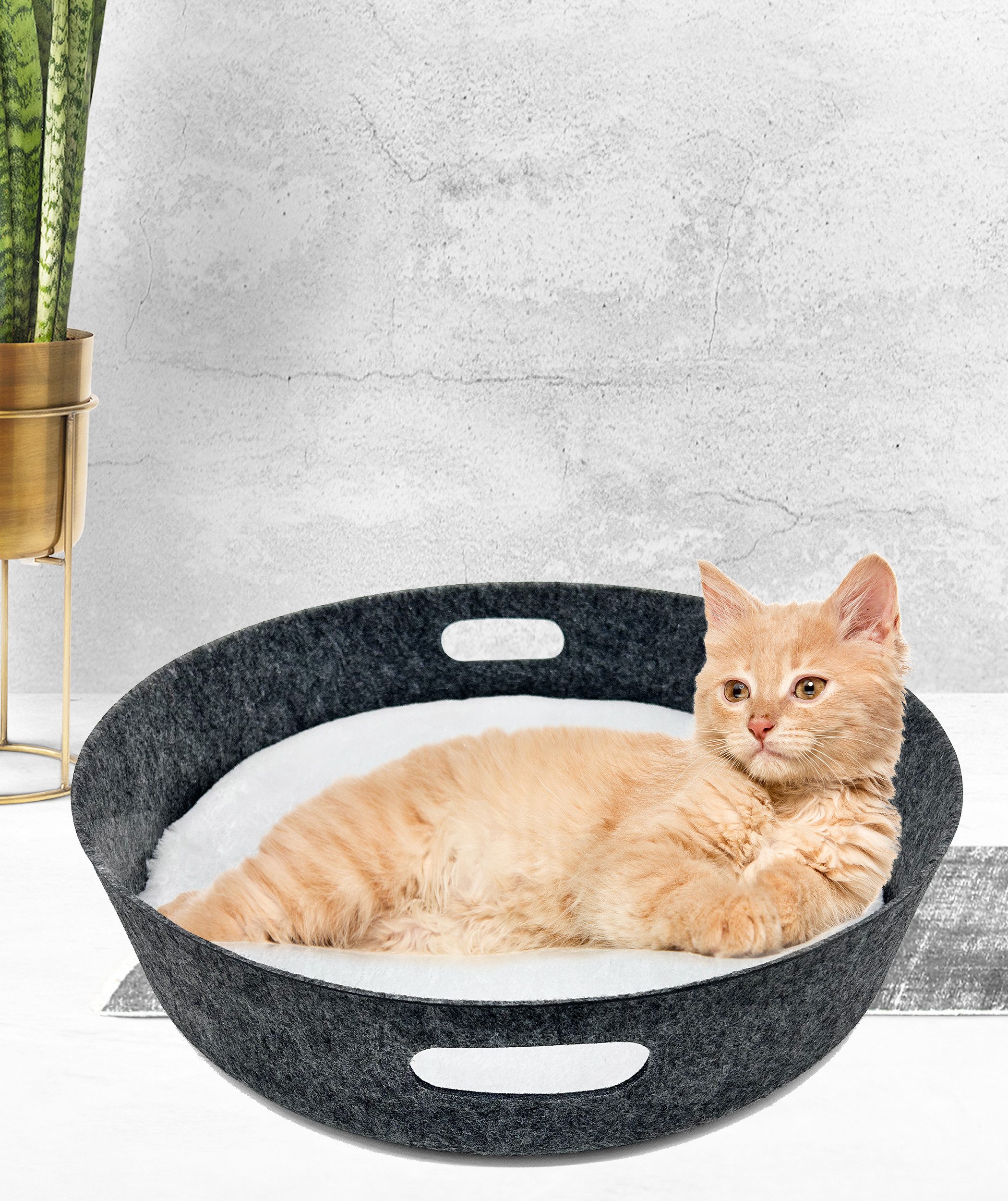 Pisi & Bili Tierbett Katzenbett, Katzenkorb günstig online kaufen