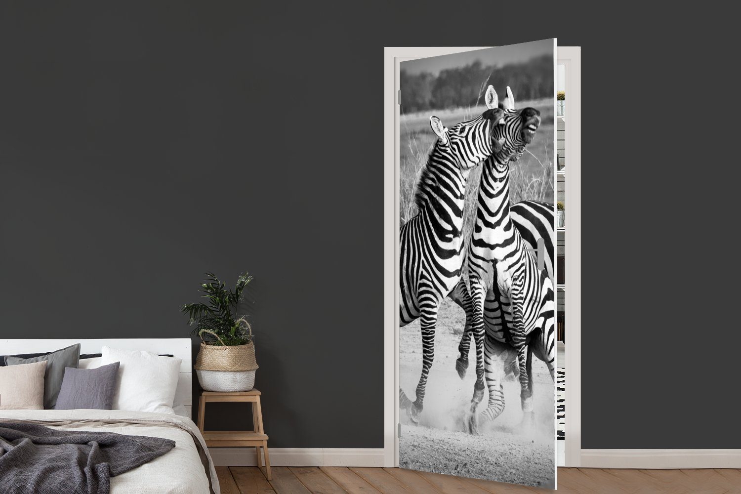 cm MuchoWow 75x205 bedruckt, Tür, Zebras, (1 St), Türaufkleber, Türtapete Matt, Fototapete Kämpfende für