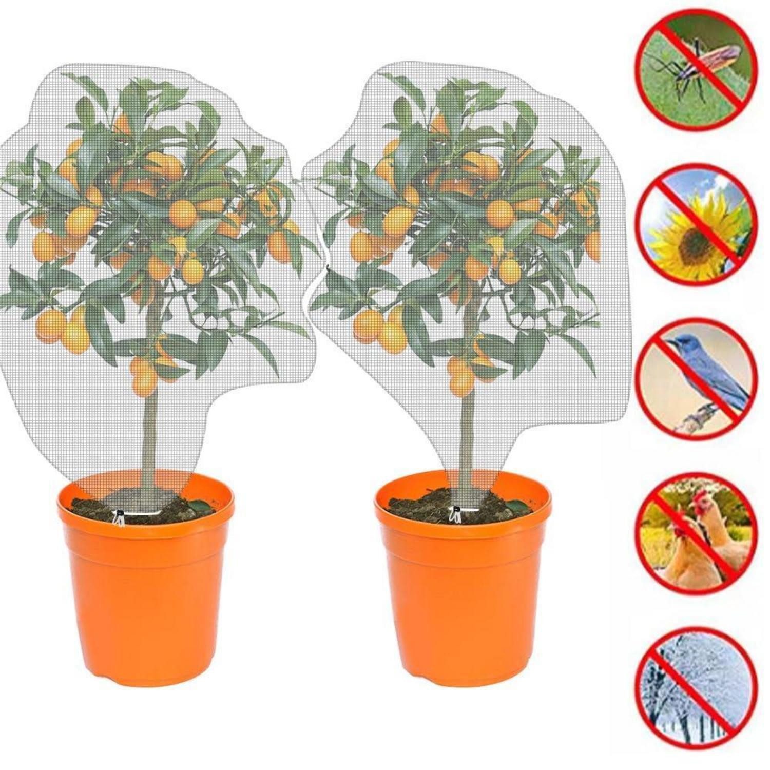 LuxusKollektion Schutznetz Pflanzenschutznetz 2er Set 1.5x1m Feinmaschig, BxL: 1x1.5 m, (2-St)