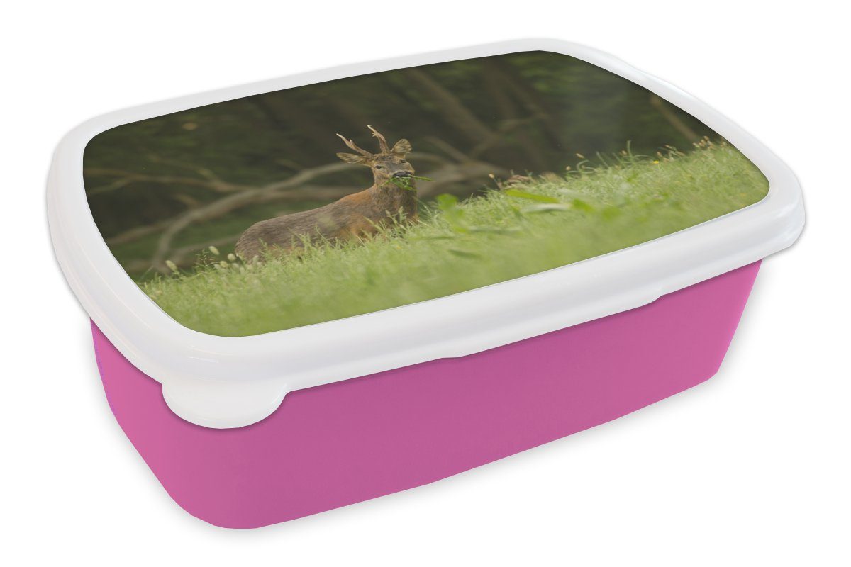 MuchoWow Lunchbox Hirsche - Gras - Wald, Kunststoff, (2-tlg), Brotbox für Erwachsene, Brotdose Kinder, Snackbox, Mädchen, Kunststoff rosa | Lunchboxen