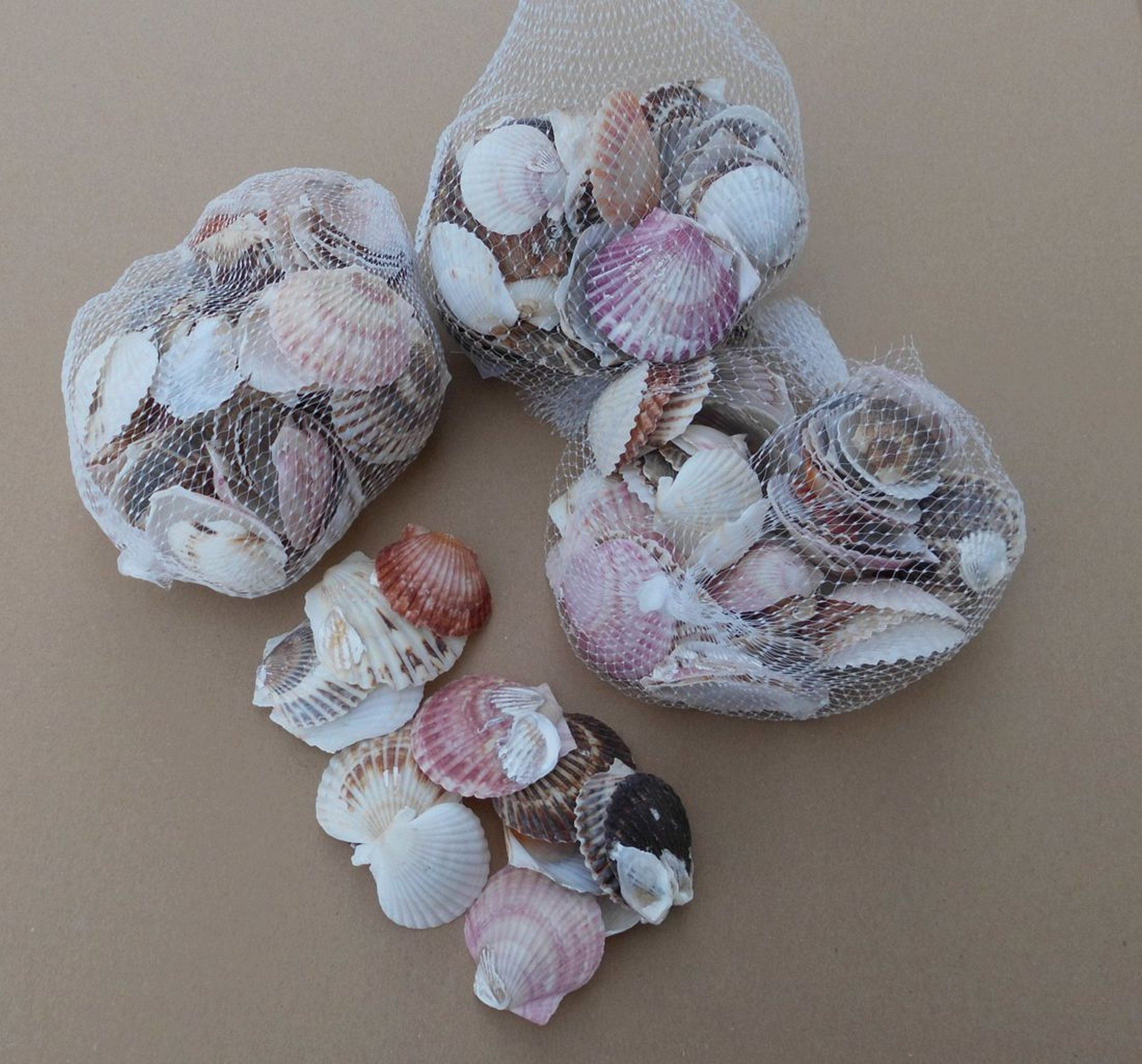 Thumbnail - Deko-Impression Streudeko 3 Netze echte Muscheln ca. 3 - 6 cm, braun-beige. Streudeko, (3-tlg)