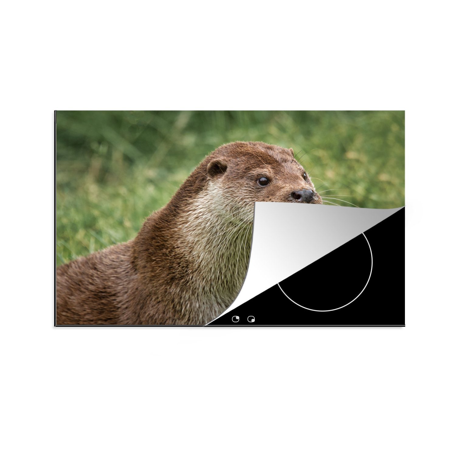 MuchoWow Herdblende-/Abdeckplatte Otter im Gras, Schutz (1 für küche, die Induktionskochfeld tlg), Ceranfeldabdeckung 81x52 cm, Vinyl