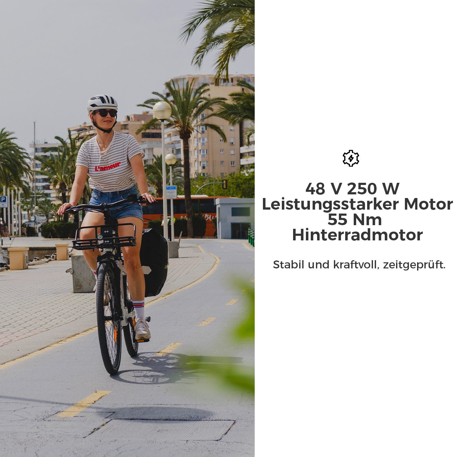 DERUIZ E-Bike Cityrad 28 Zoll, Quartz, 48V 644Wh, bis zu 161 km, mit Bluetooth und APP, 8 Gang SHIMANO Altus RD-M310 Schaltwerk, Kettenschaltung, Heckmotor, 644 Wh, Farb-LCD-Display, Drehmomentsensor, Elektrofahrrad, Tiefeinsteiger