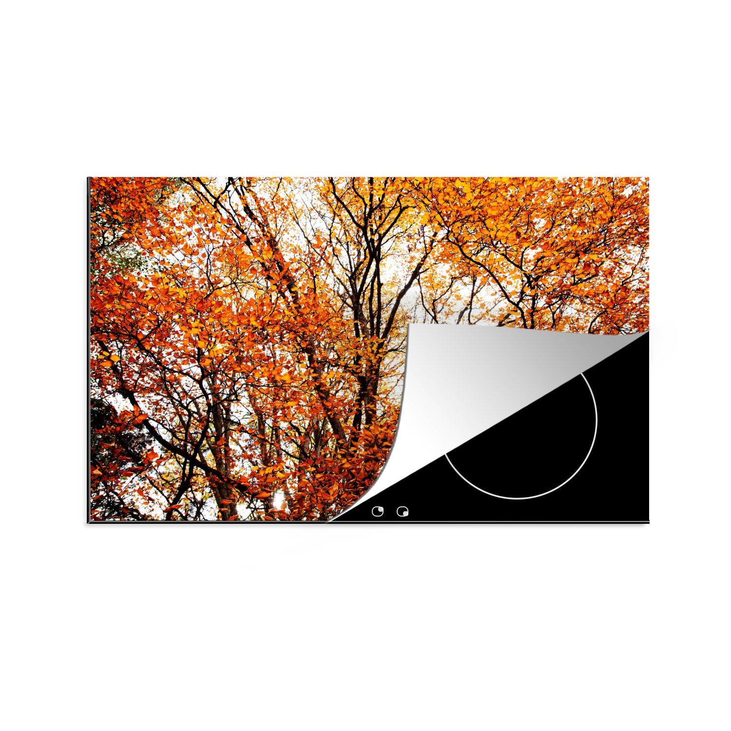 MuchoWow Herdblende-/Abdeckplatte Wald - Herbst - Jahreszeiten, Vinyl, (1 tlg), 80x52 cm, Induktionskochfeld Schutz für die küche, Ceranfeldabdeckung