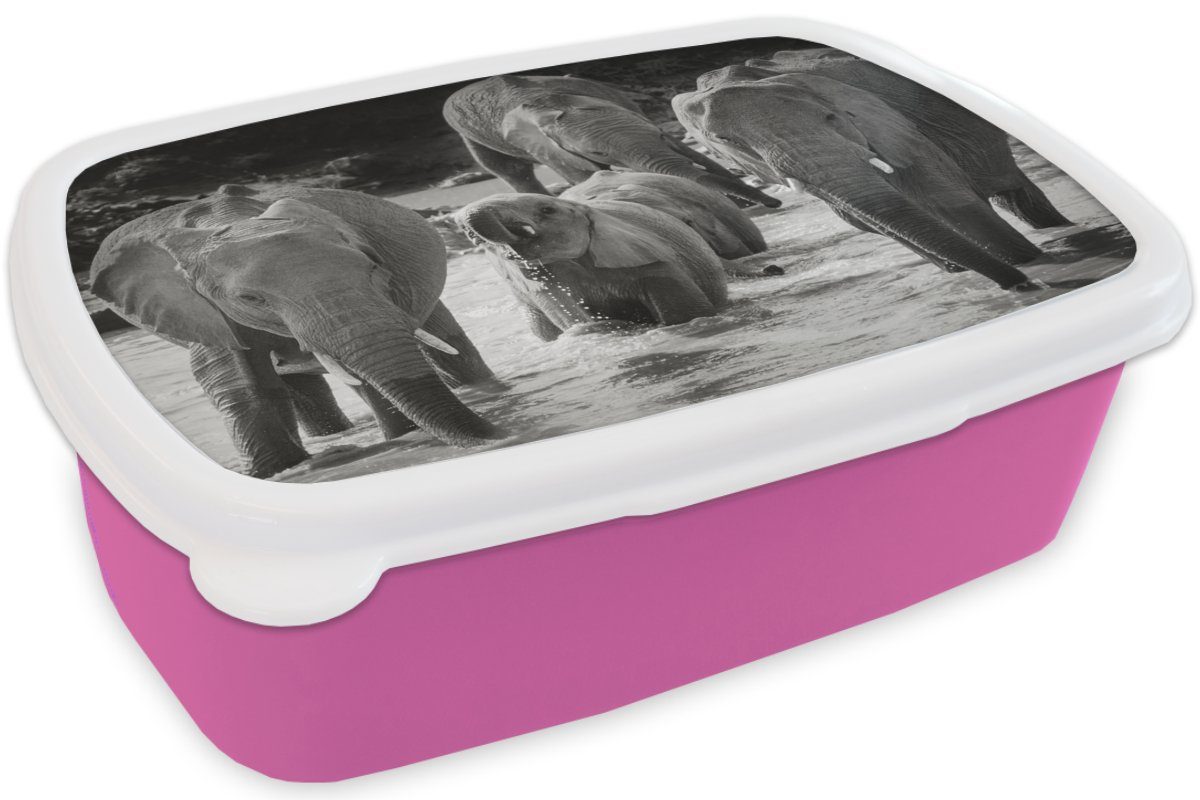 rosa weiß, (2-tlg), Wasser und - Kunststoff, Snackbox, - Mädchen, Brotdose MuchoWow Kinder, Schwarz Lunchbox Elefant Brotbox Erwachsene, - Tiere für Kunststoff