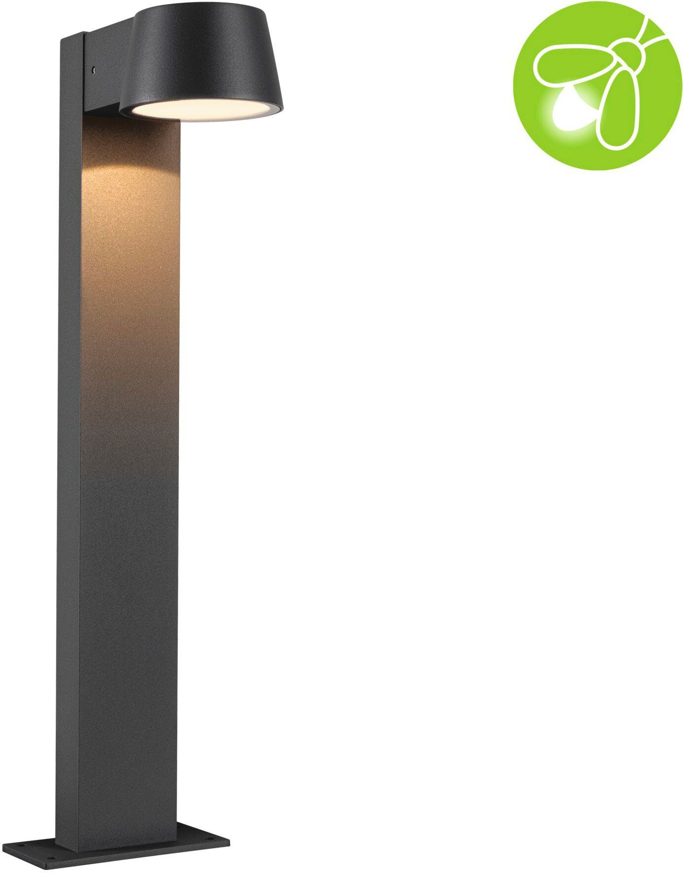 Paulmann LED Pollerleuchte Outdoor 230V Capea Aluminium anthrazit insect friendly, LED fest integriert, Insektenfreundlich, IP44, 2200K