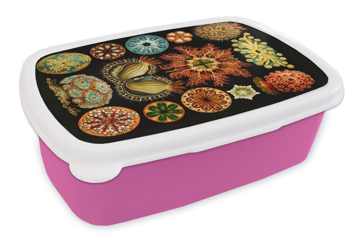 MuchoWow Lunchbox Vintage - Ernst Brotbox - Meerestier Kunststoff Kinder, Mädchen, rosa Meer - Kunst, (2-tlg), Kunststoff, Snackbox, - - Haeckel für Brotdose Erwachsene, Natur