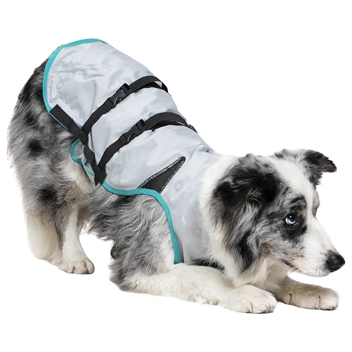Suitical Hundeweste DRY® Cooling Vest Dog silber