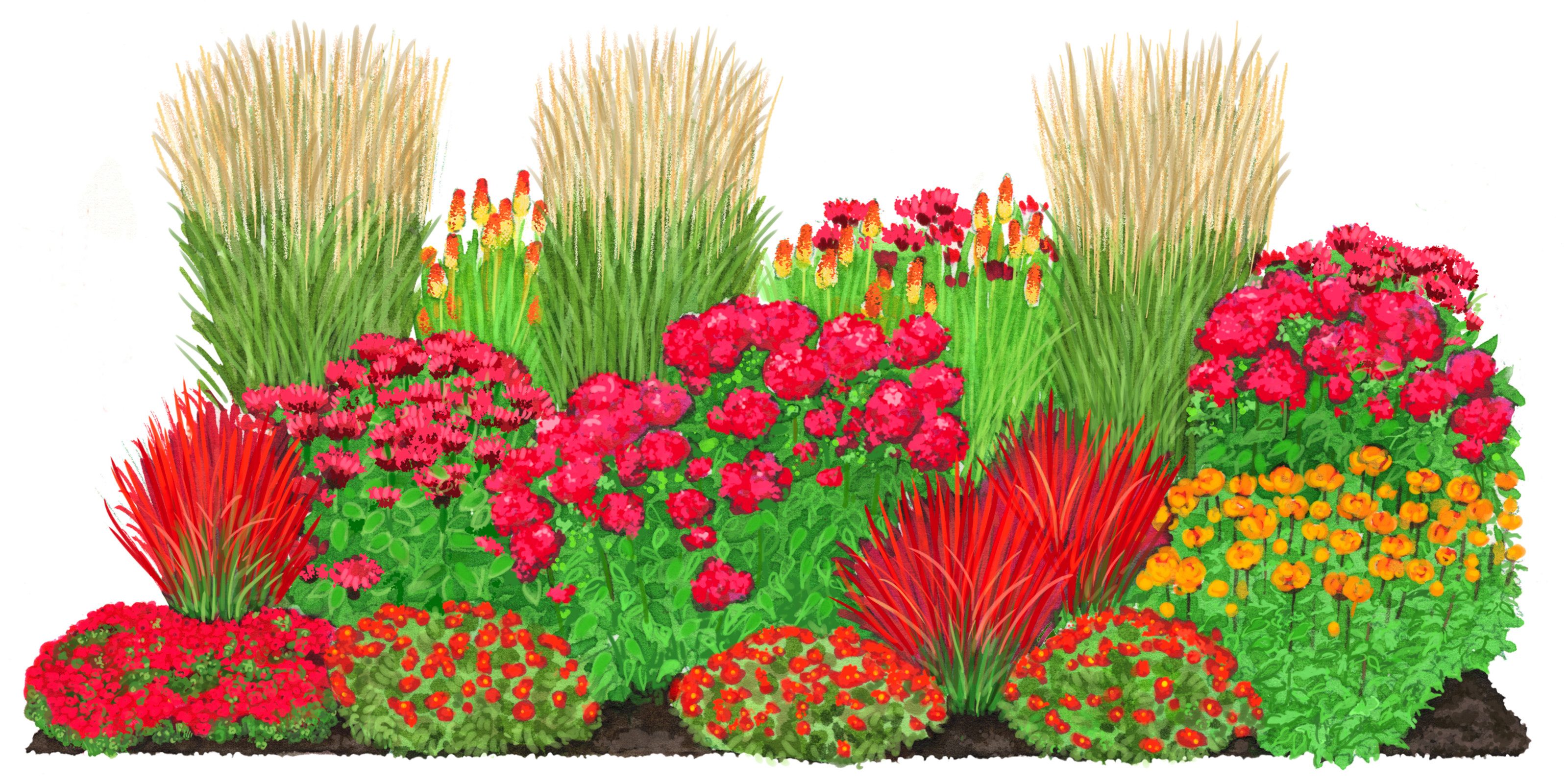 Dehner Staude Bio Stauden-Set Feuerwerk, 8 versch. Sorten, 24 Stück, je 3-20 cm, mehrjährige Stauden für insektenfreundliche Sommer-Blumenbeete