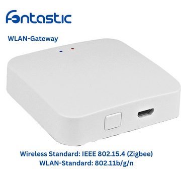 fontastic WLAN-Modul WLAN-Gateway, Gateway