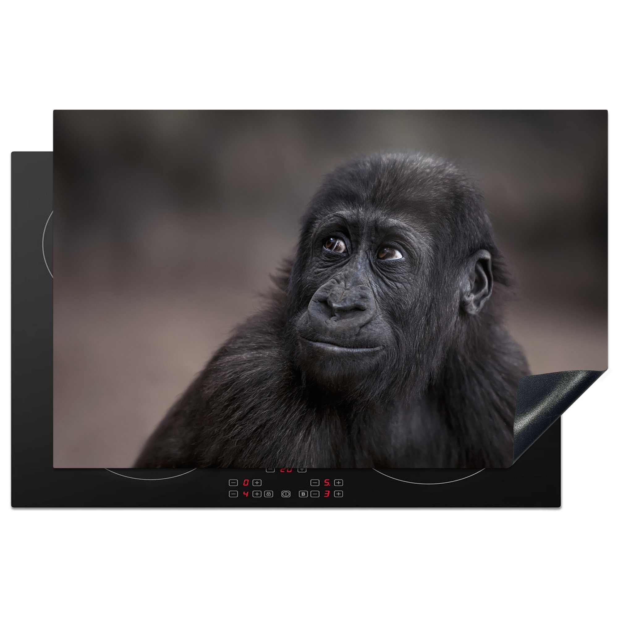 MuchoWow Herdblende-/Abdeckplatte Nahaufnahme eines Gorillas, Vinyl, (1 tlg), 81x52 cm, Induktionskochfeld Schutz für die küche, Ceranfeldabdeckung