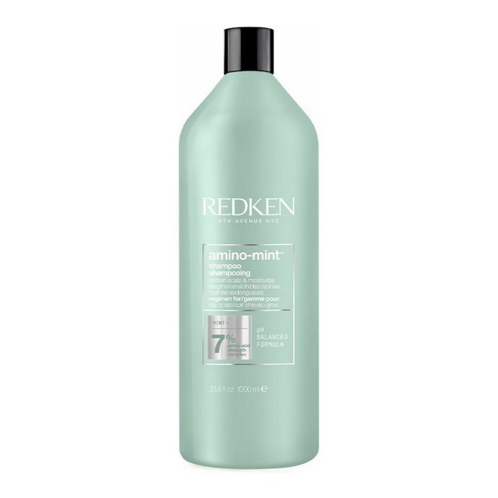Redken Haarshampoo Shampoo Amino Mint (1000ml)
