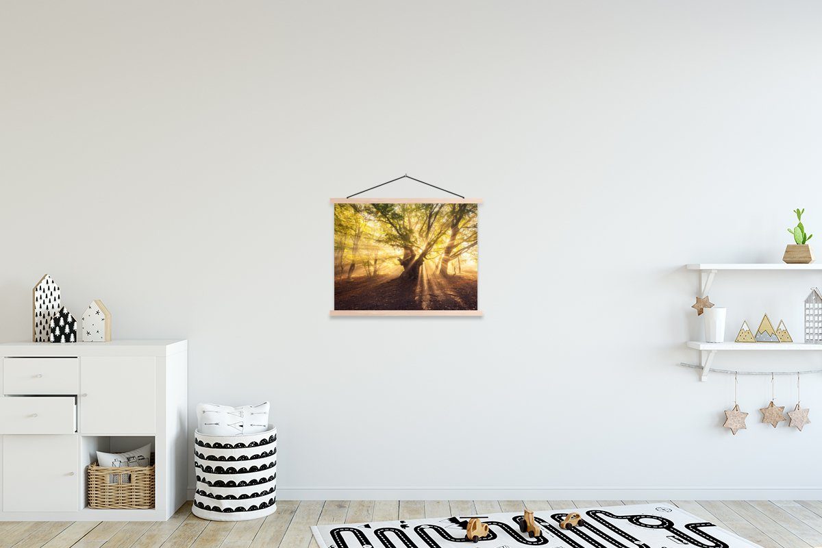 MuchoWow Poster Baum - Wald - Sonne, (1 St), Posterleiste, Textilposter für Wohnzimmer, Bilderleiste, Magnetisch