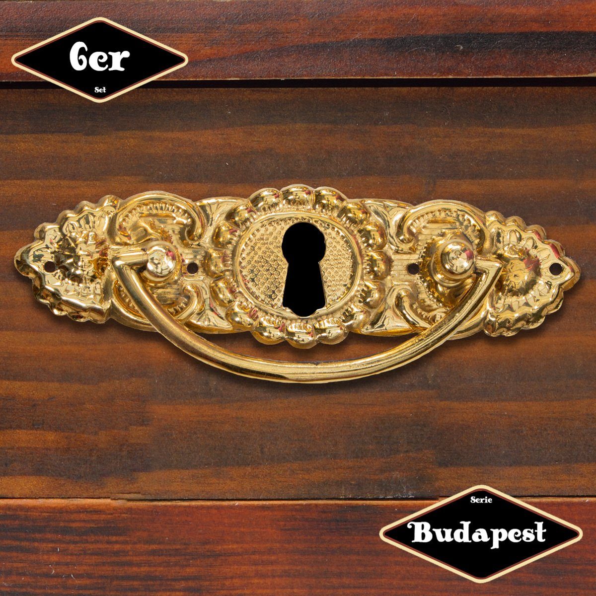 Möbelbeschlag Schubladengriff,Serie "Budapest",6er Pack, Eisen in Messing gl.
