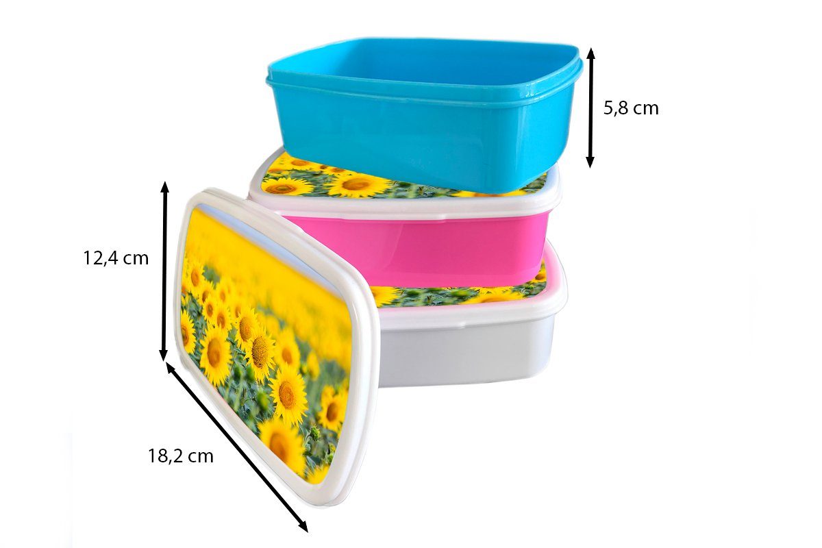 MuchoWow Kunststoff, Erwachsene, für Kinder, Brotbox Lunchbox rosa Brotdose (2-tlg), Gelbe Feldsonnenblumen, Kunststoff Mädchen, Snackbox,