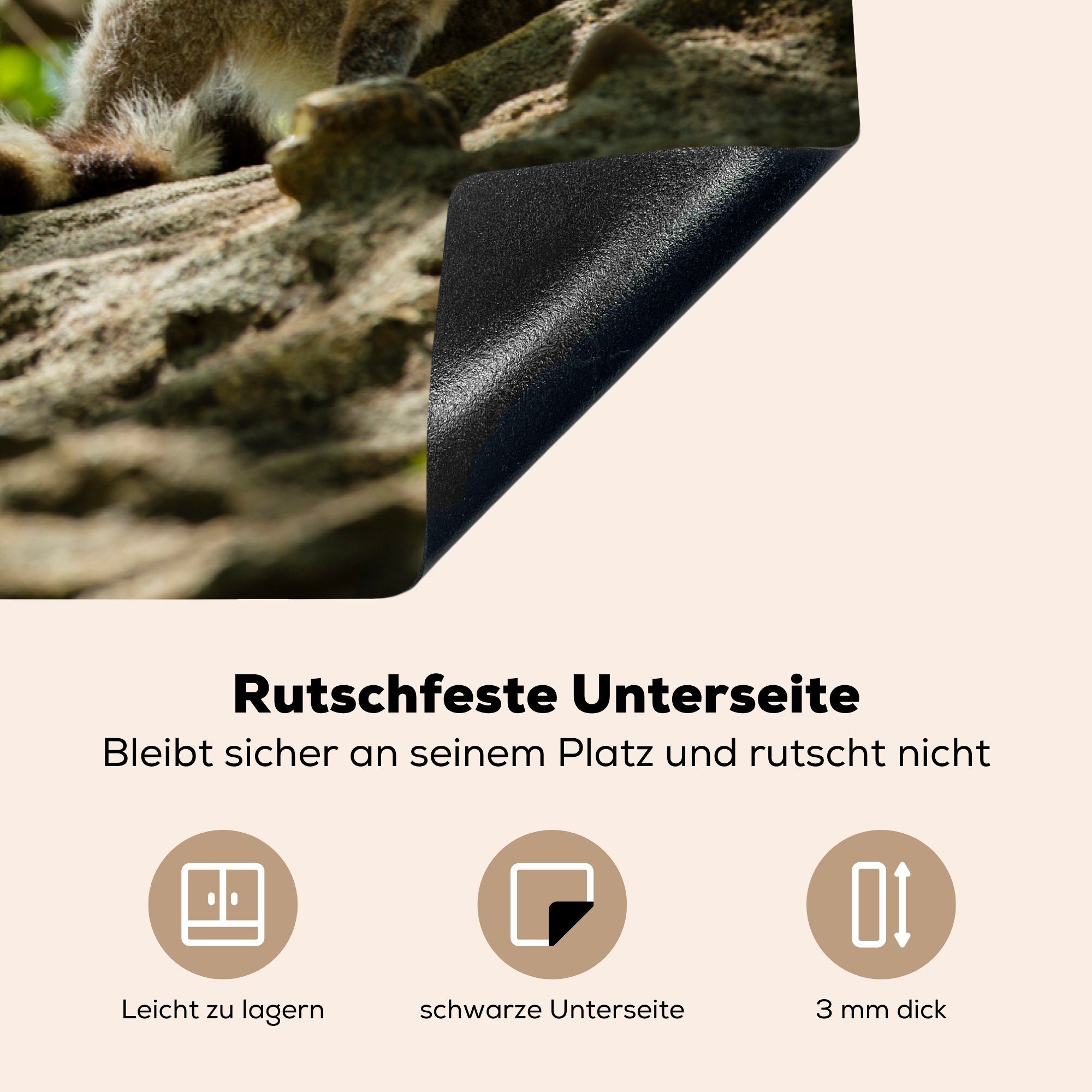 Madagaskar, in (1 Lemuren für 81x52 Induktionskochfeld Herdblende-/Abdeckplatte cm, Schutz MuchoWow die Vinyl, tlg), küche, Ceranfeldabdeckung