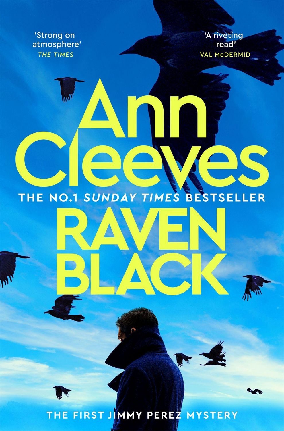 Raven Black / Ann Cleeves