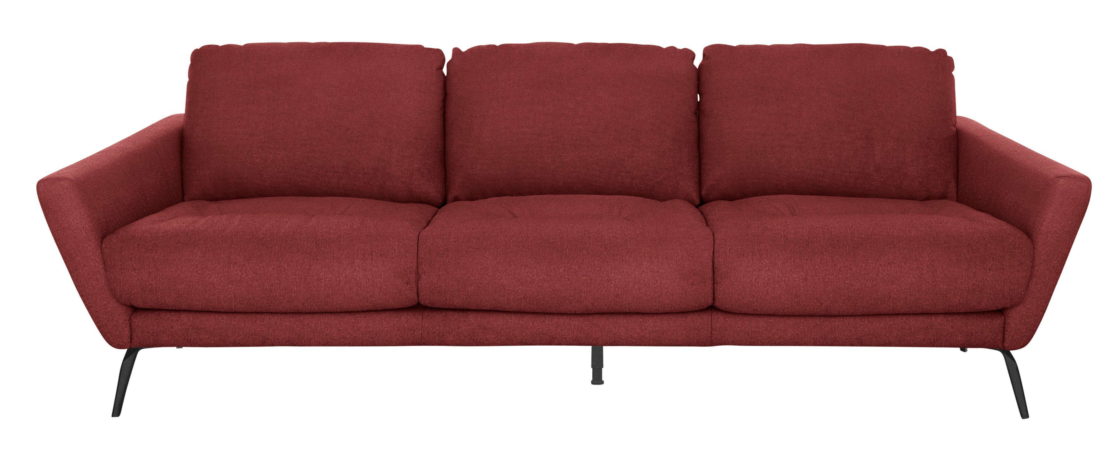 W.SCHILLIG Big-Sofa softy, mit dekorativer im pulverbeschichtet schwarz Sitz, Heftung Füße