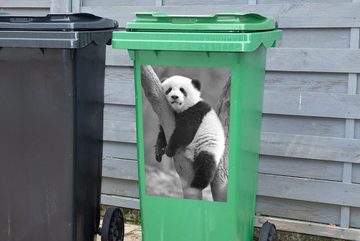 MuchoWow Wandsticker Junger Panda schlafend in einem Baum - schwarz und weiß (1 St), Mülleimer-aufkleber, Mülltonne, Sticker, Container, Abfalbehälter