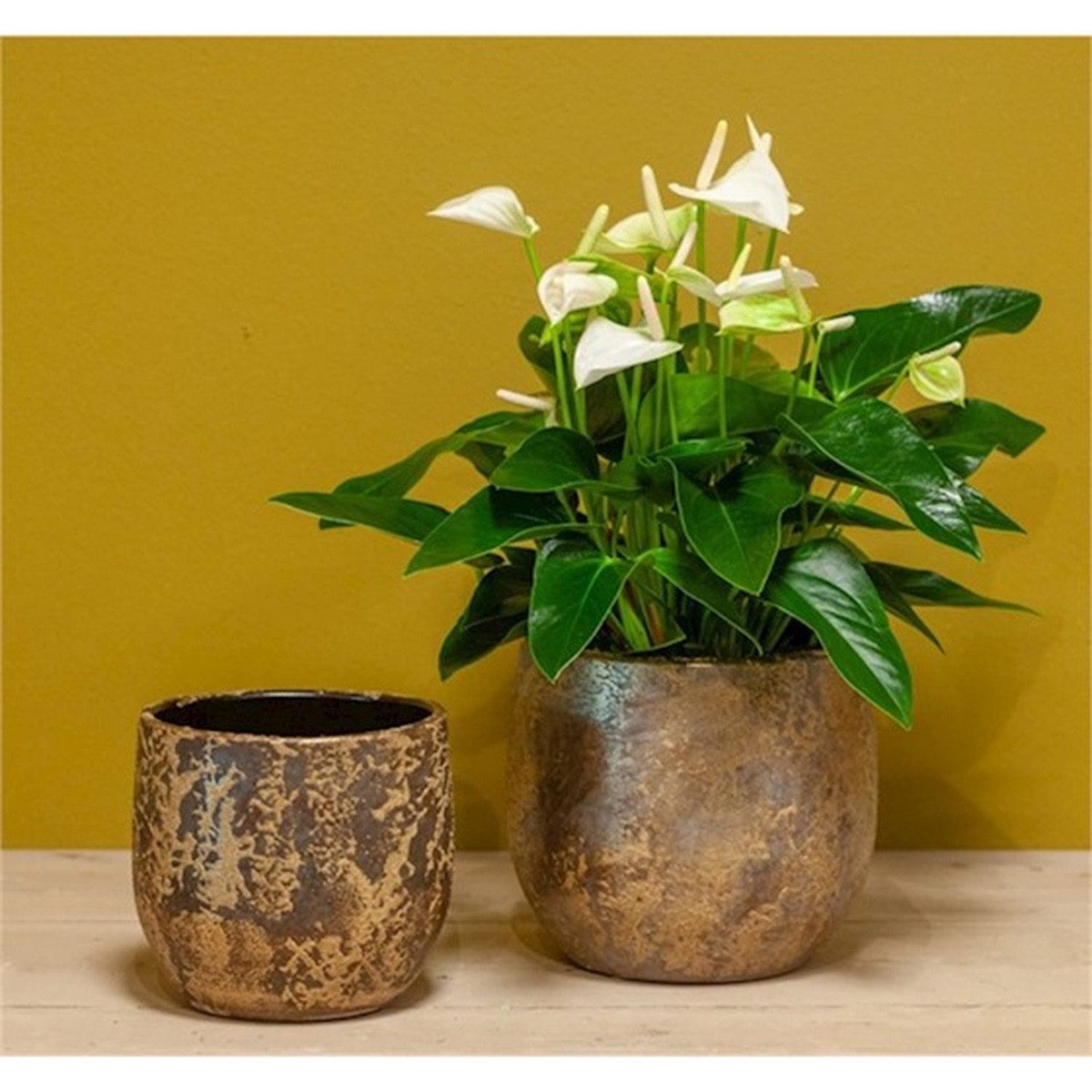 INNA-Glas Blumentopf Vintage Pflanztopf Mago aus Keramik, Wischoptik, Gold, 17 cm, Ø 19 cm