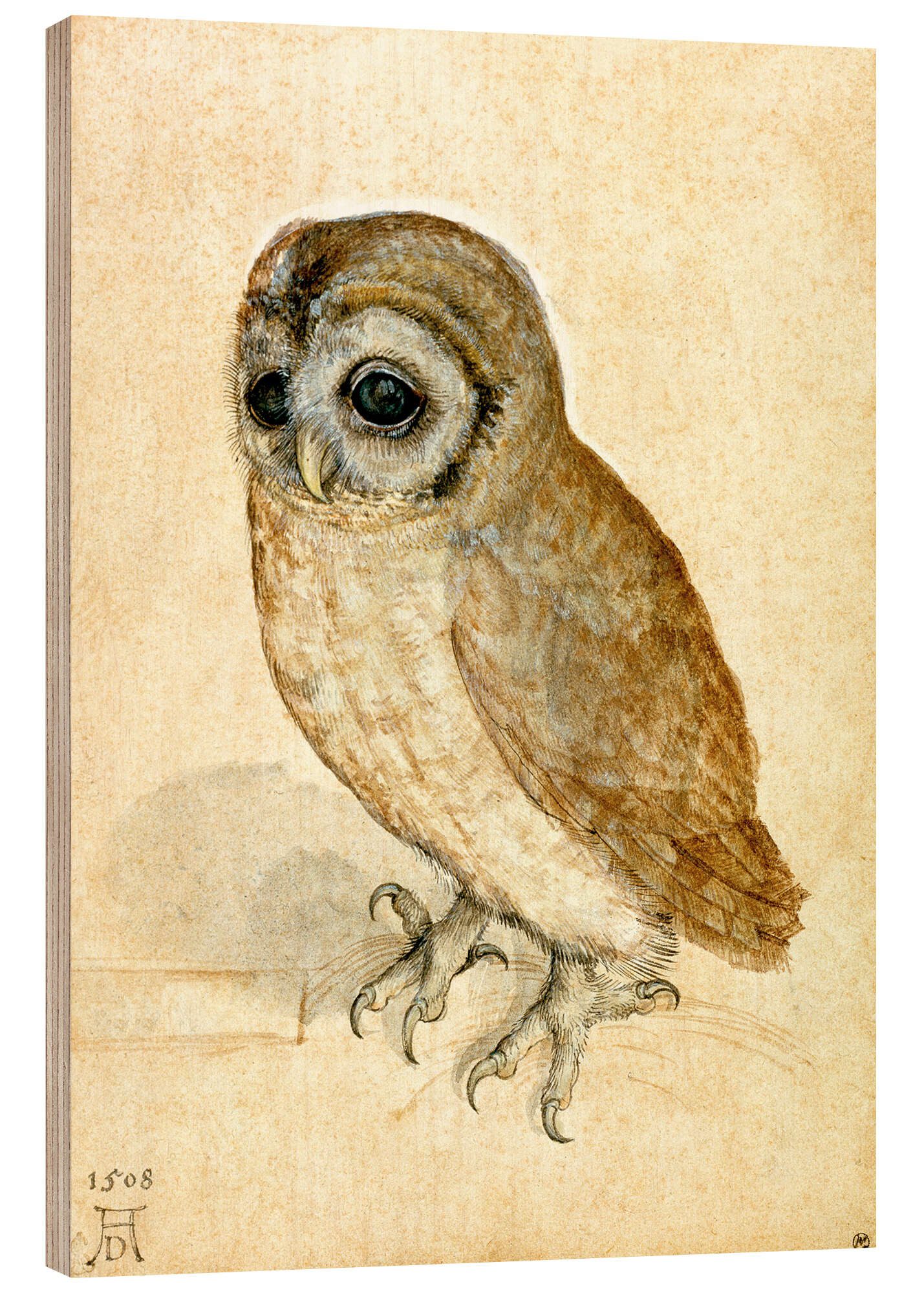 Holzbild Albrecht Dürer