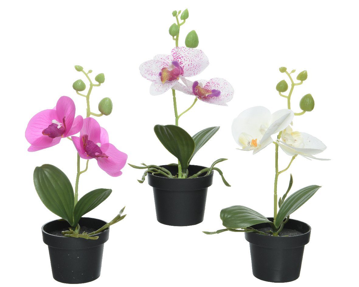 Kunstblume, Decoris season decorations, Künstliche Orchidee im Topf 25cm weiß / pink 1 Stück sortiert
