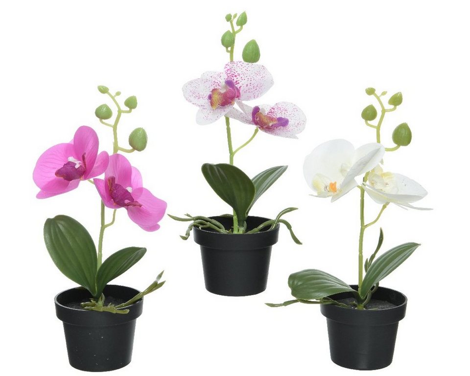 Kunstblume, Decoris season decorations, Künstliche Orchidee im Topf 25cm  weiß / pink 1 Stück sortiert