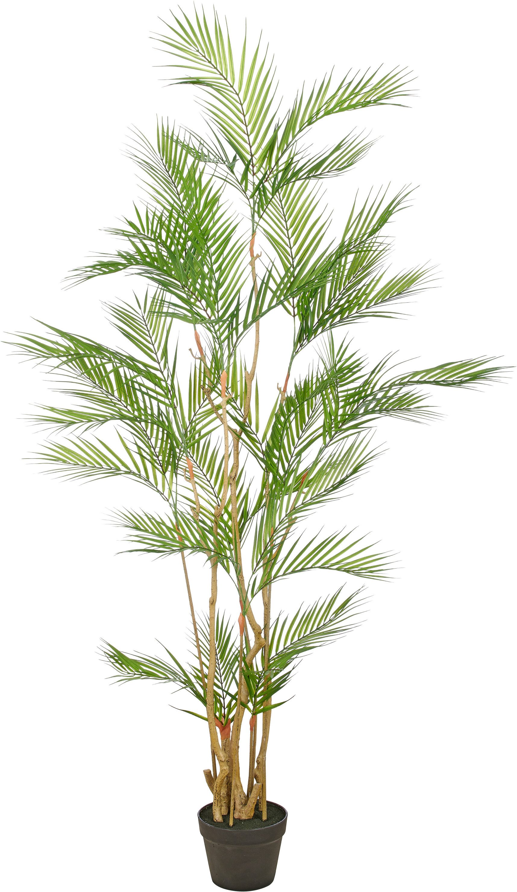 Kunstpalme Goldfruchtpalme, Creativ green, Höhe 160 cm, mit naturgetreuen Palmwedeln