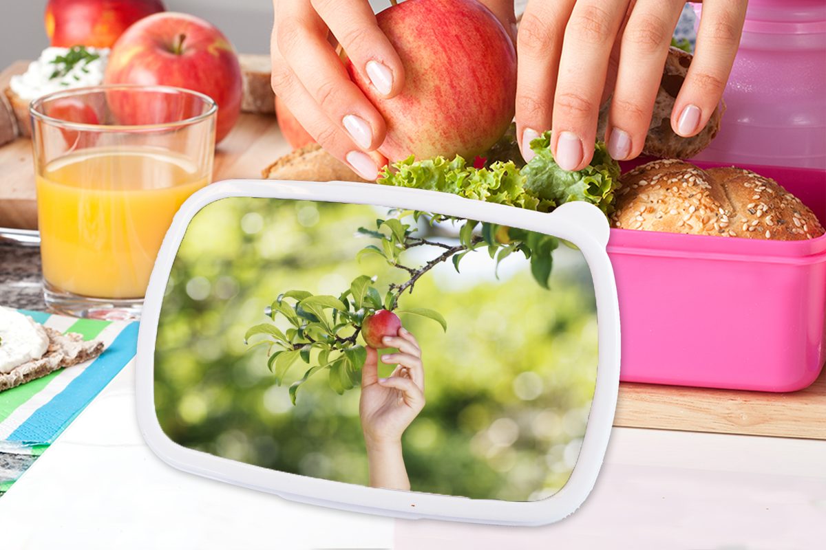 MuchoWow Lunchbox Obstbäume - Apfel, für Brotdose Kinder, Mädchen, Gemüsegarten Snackbox, Kunststoff (2-tlg), Brotbox - Kunststoff, Erwachsene, rosa
