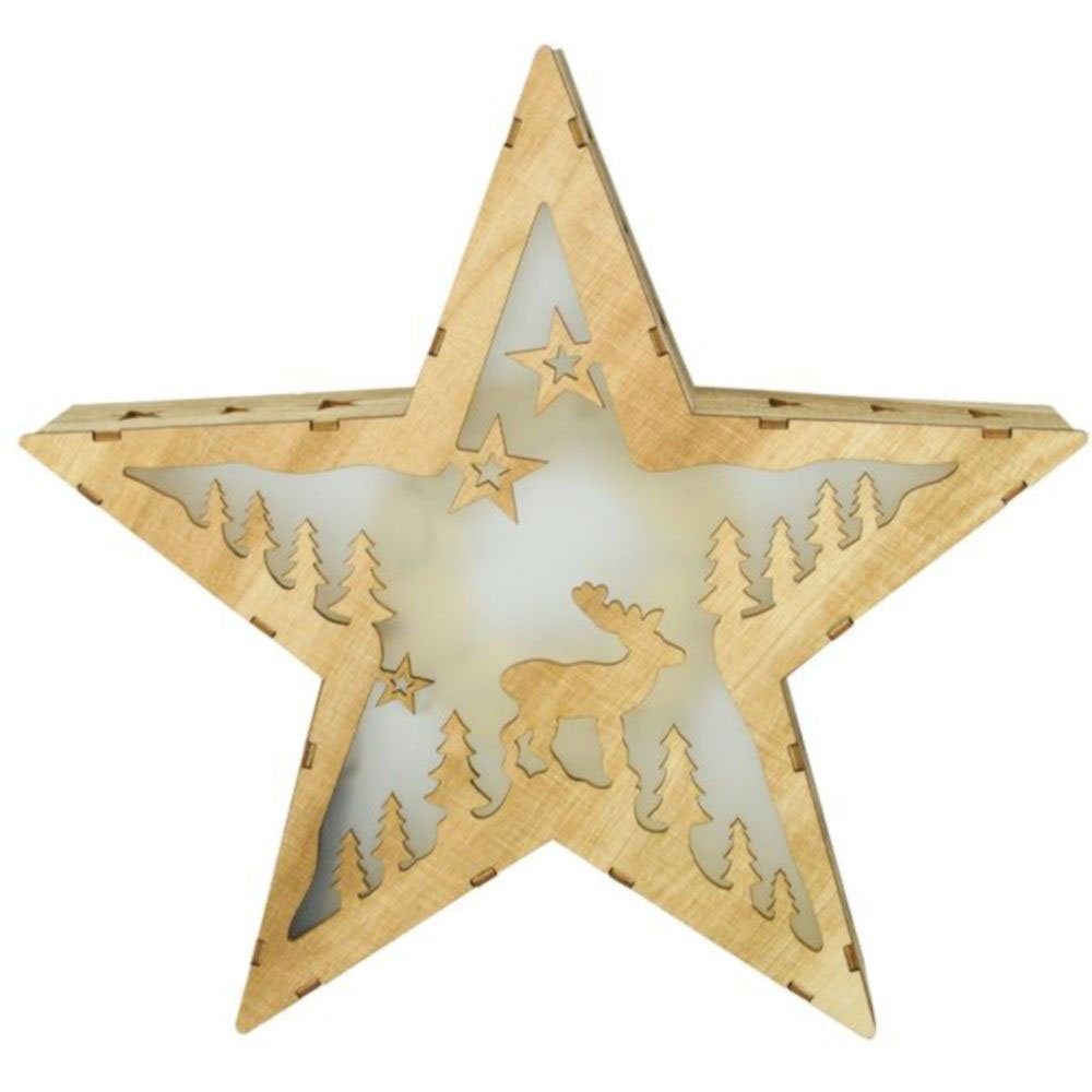 Harms Import LED Dekolicht, Weihnachtsstern Leuchtstern Dekoleuchte Adventsstern