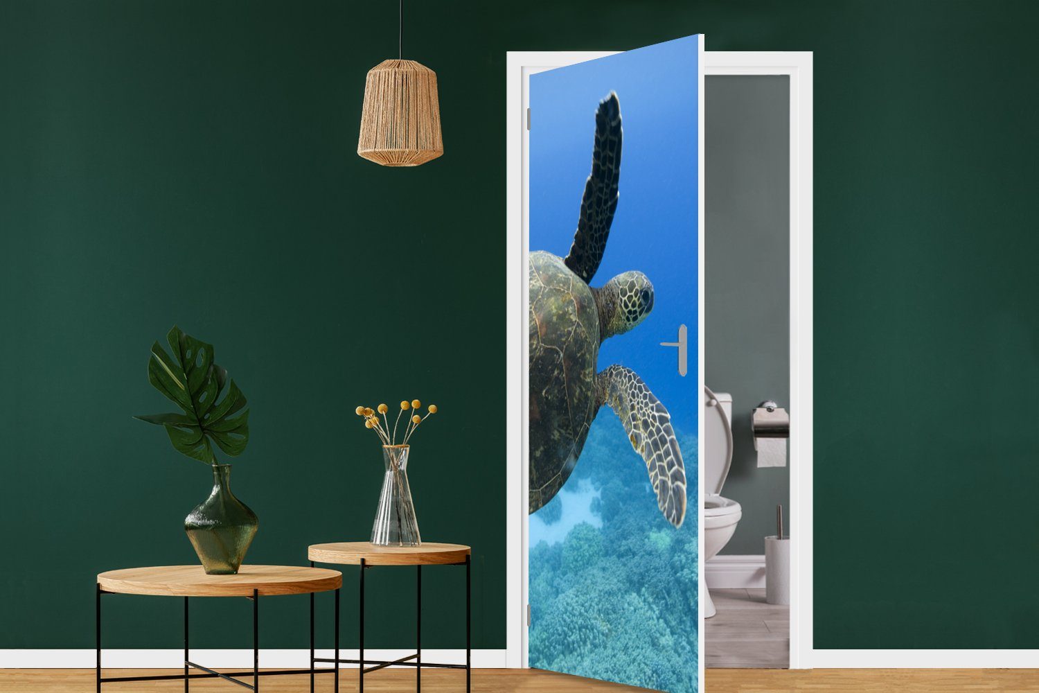 MuchoWow Tür, Türtapete Grüne (1 cm für Matt, Türaufkleber, bedruckt, schwimmende 75x205 Fototapete Schildkröte St), Fotodruck,