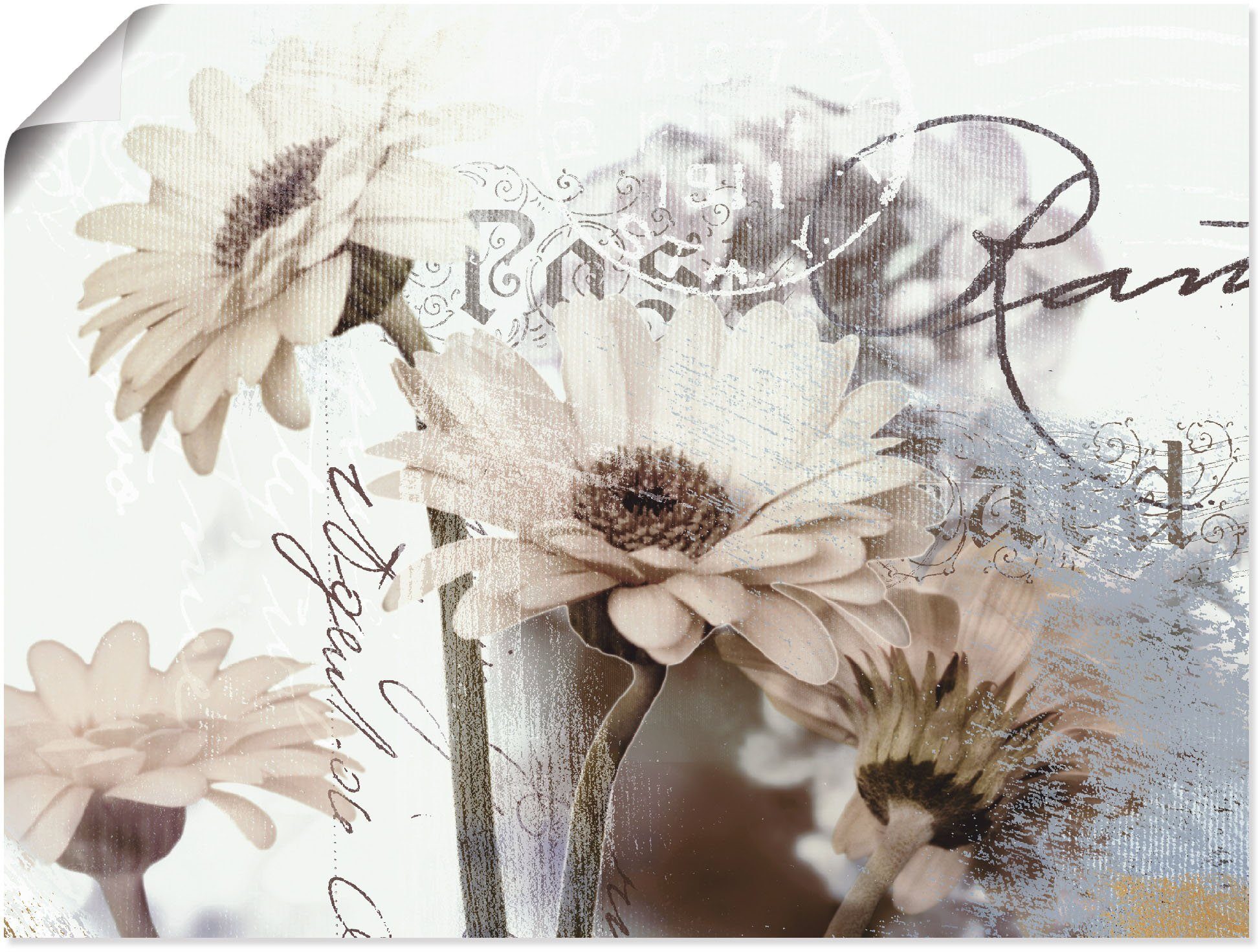 Artland Wandbild Gerberas_Detail, Blumenbilder (1 St), günstig online kaufen
