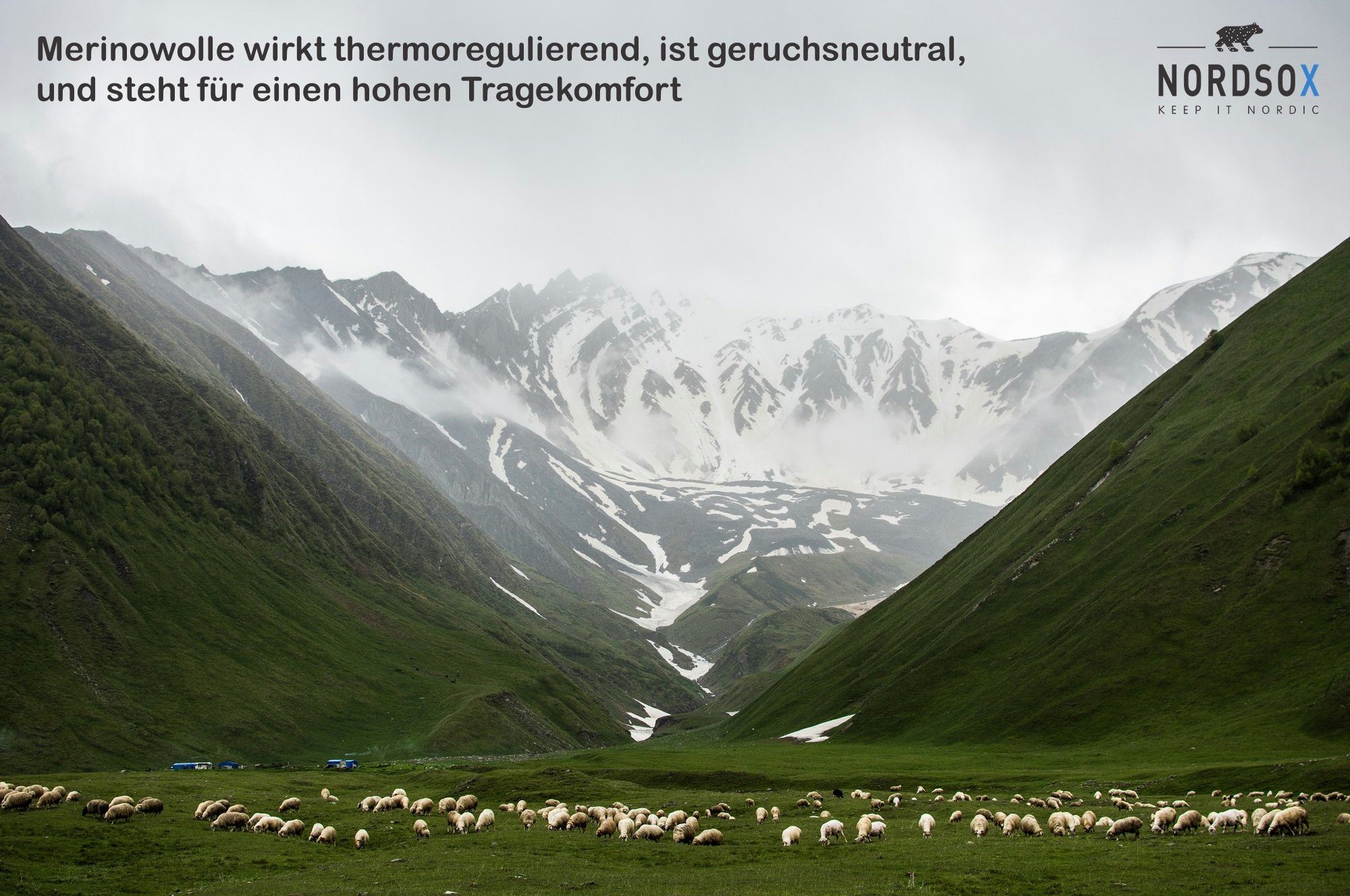 & Merino NORDSOX Premium Premium Wolle & atmungsaktiv Damen Klimaregulierend Herren & Wandersocken sehr weich für (1-Paar)