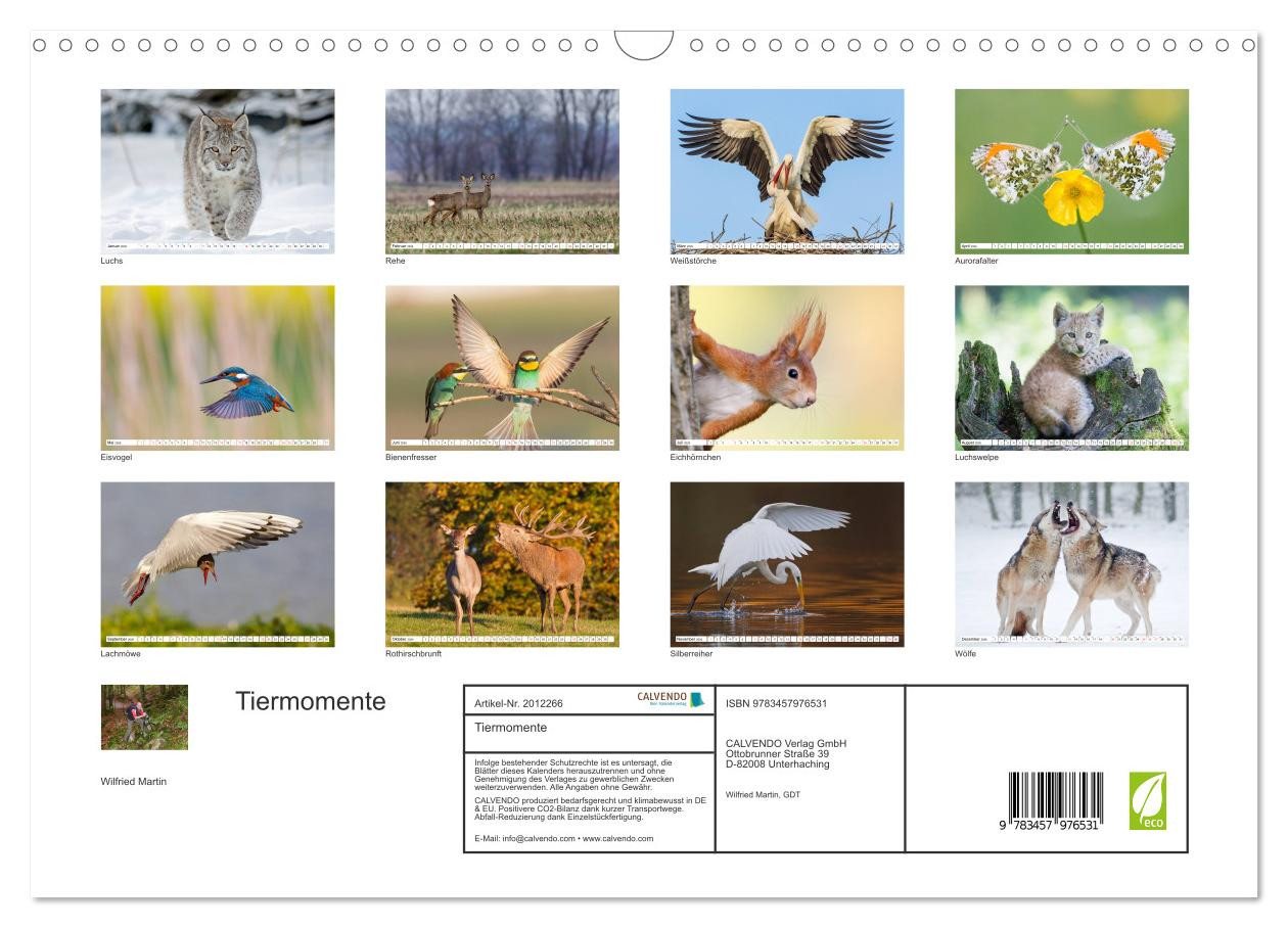 Thumbnail - CALVENDO Wandkalender Tiermomente (Wandkalender 2026 DIN A3 quer), CALVENDO Monatskalender