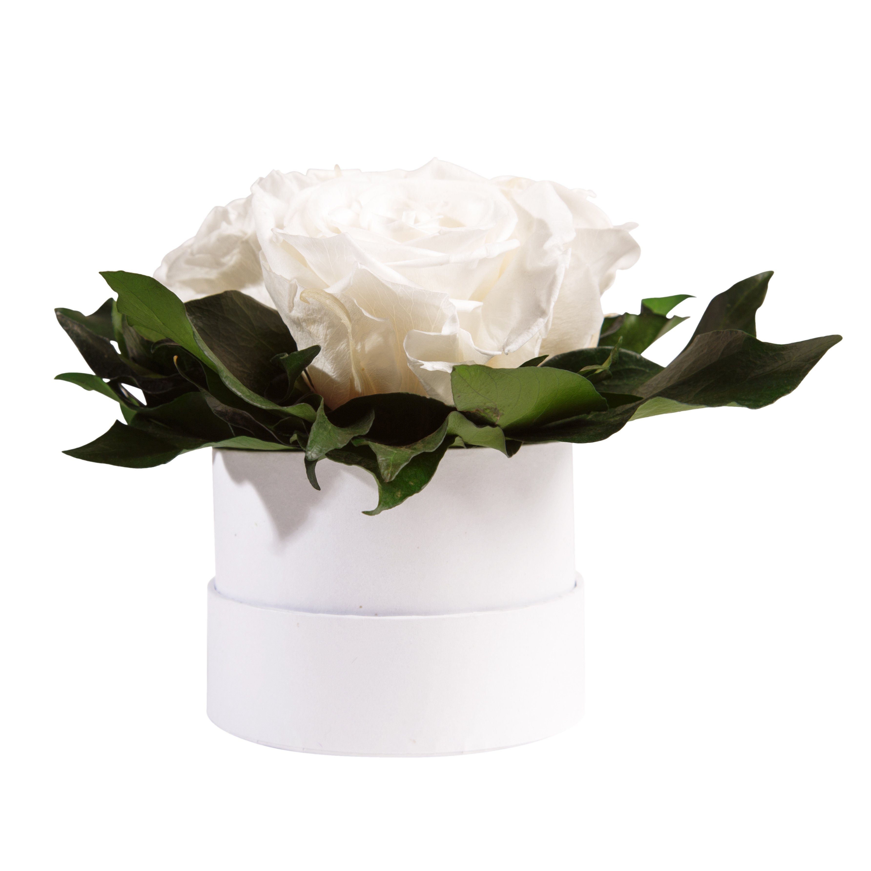 Kunstblume Infinity Rosenbox weiß rund 3 günstig online kaufen