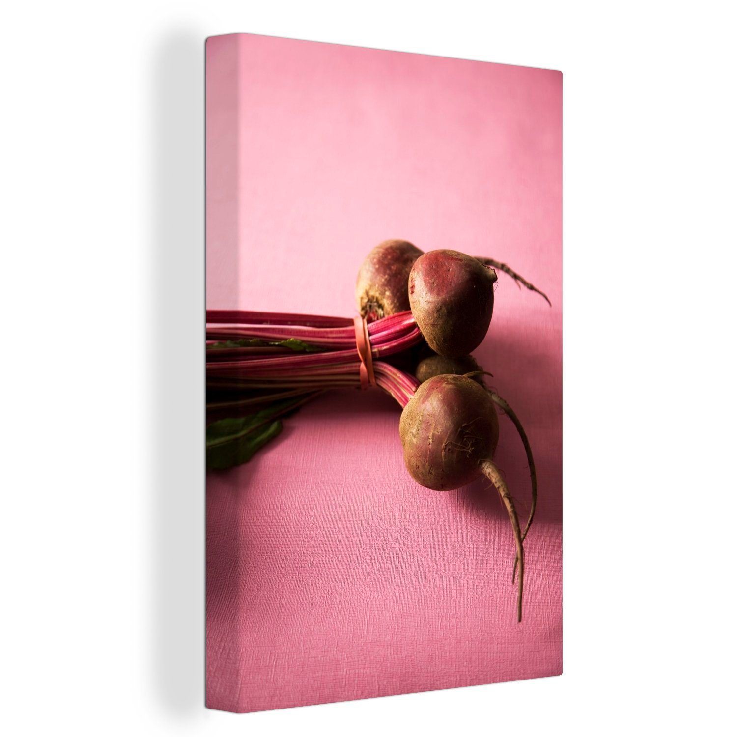 OneMillionCanvasses® Leinwandbild Ein Wald aus roten Rüben auf einer rosa Leinwand, (1 St), Leinwandbild fertig bespannt inkl. Zackenaufhänger, Gemälde, 20x30 cm